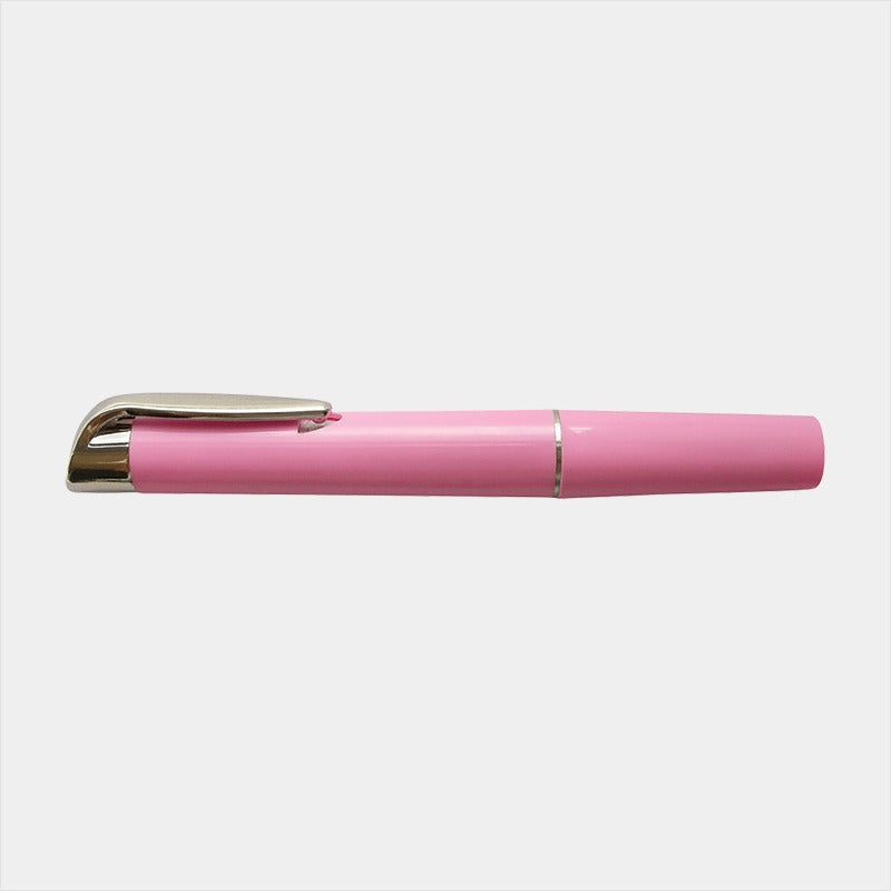 Pen Torch Reusable With Batteries (Pink) in Blister Pack